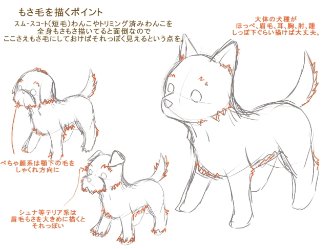 A05 桃色卍流 犬の描き方