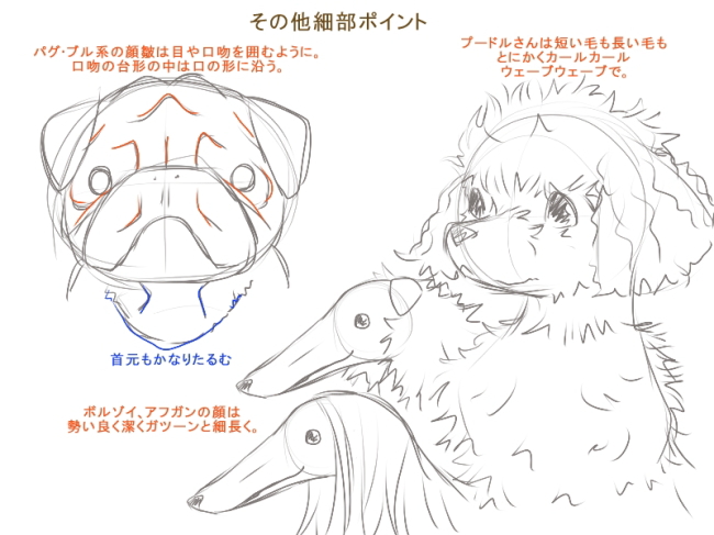 A05 桃色卍流 犬の描き方